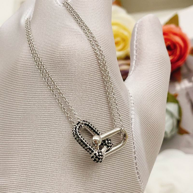 Tiffany Necklace 05yxs60